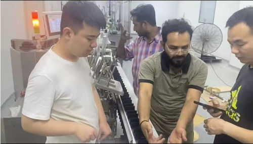 Últimas noticias de la empresa sobre Equipo de Equipos Farmacéuticos de Suzhou Lingyao completa con éxito el SAT y la capacitación en el sitio para la máquina de cartonado