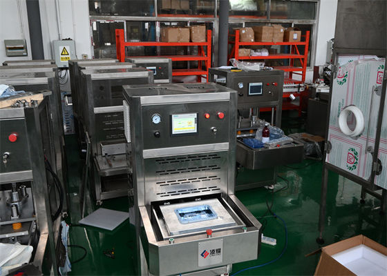 Comprar Sellador térmico médico de 10 mm con temperatura ajustable para envases Tyvek fabricación en línea